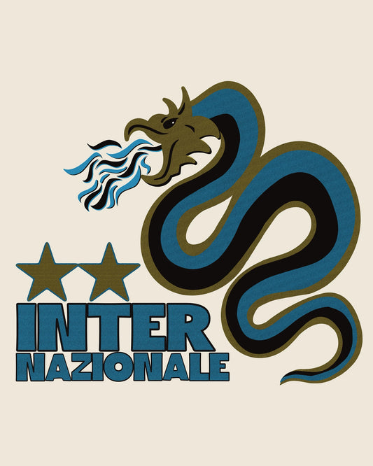 INTER⭐️⭐️NAZIONALE